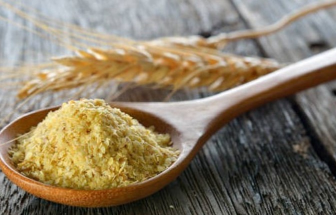 جوانه گندم ستین