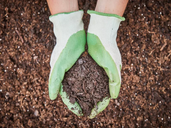 مواد اولیه برای پرورش قارچ در سالن
